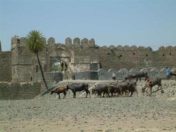 Gulbarga Fort entrance