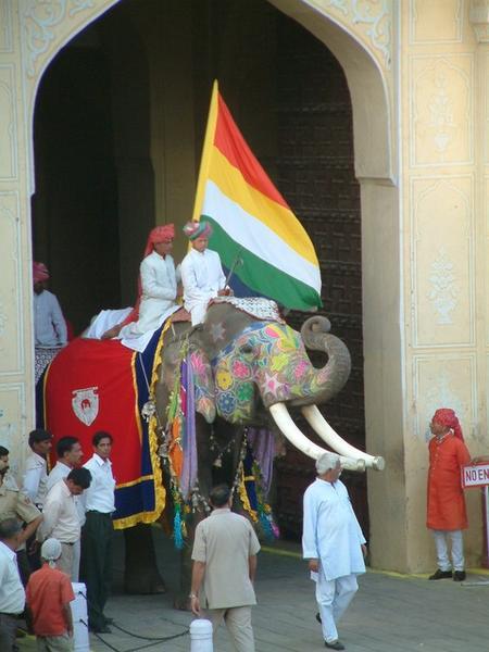Elephant carrying the flag