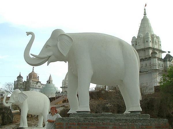 Pair of white elephants