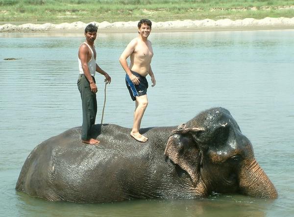 Elephant bathing - step 3