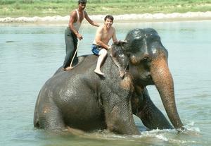 Elephant bathing - step 2