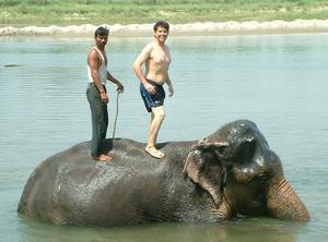 Elephant bathing - step 3