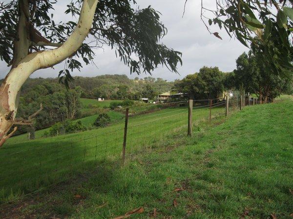 View of Eagleview Farm