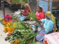 Zapotecs selling their flowers