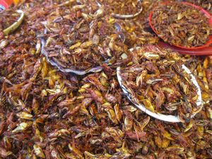 Spicy fried grasshoppers