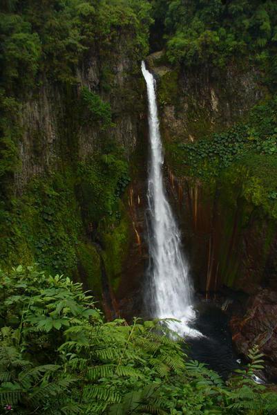 The waterfall between Chayote / Grecia Reserves