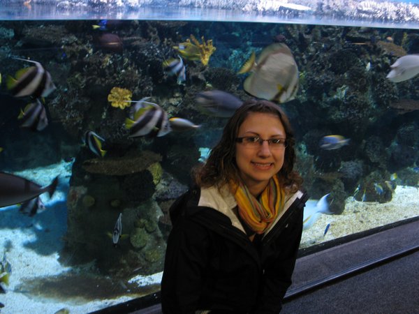 Ariel at Aquarium