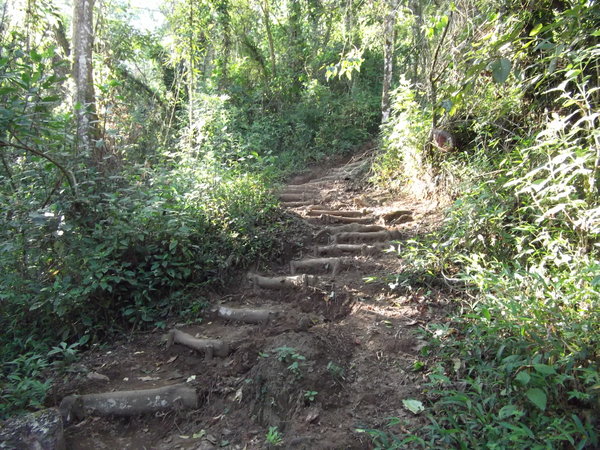 Luckily big parts of the trail had stairs