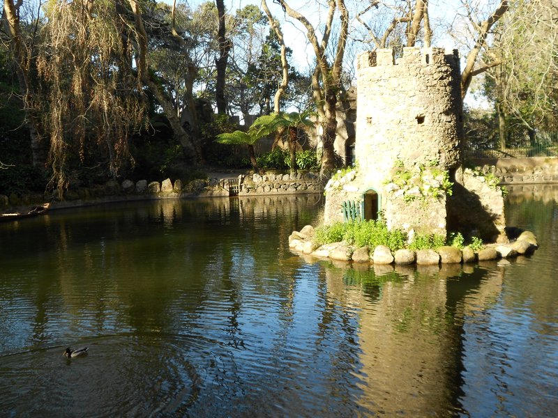 Duck Fortress in Pena Park