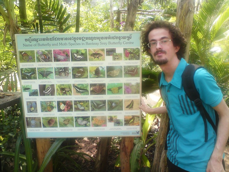 At Banteay Srei Butterfly Centre
