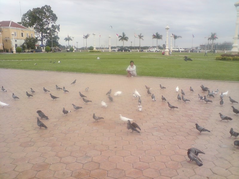 Open space by riverside (with pigeons)