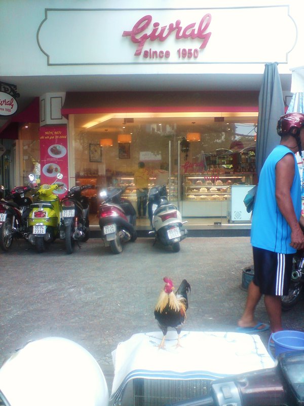 City chicken