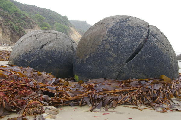 Moeraki boulders 