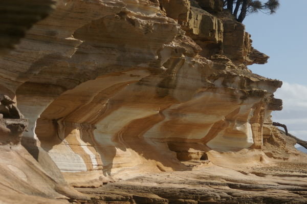the Painted Cliffs