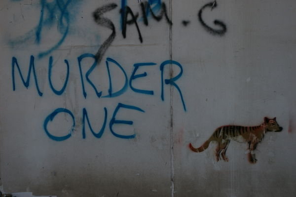 a curiously apt juxtapositioning of graffiti in Launceston