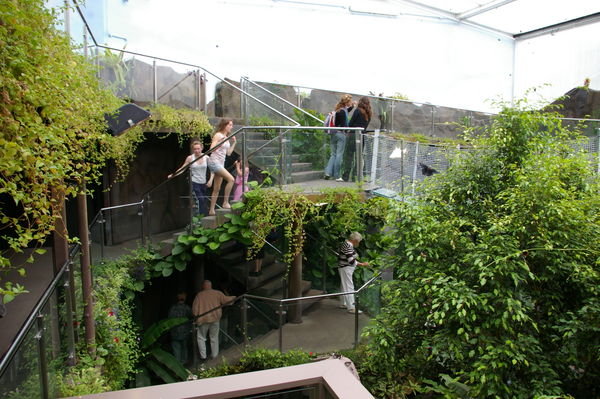 inside the Tropical World