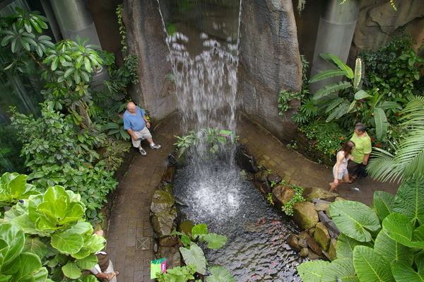 waterfall in the Tropical World