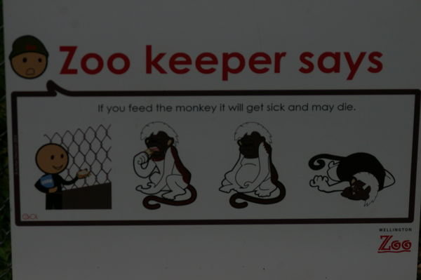 'no feeding' sign at Wellington Zoo