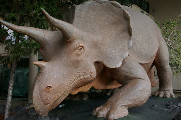Triceratops statue in the "Dinosaur Garden"