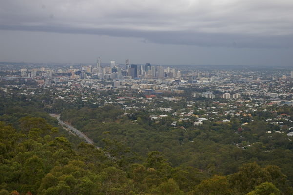 Brisbane from the Mt. Coot-tha lookout