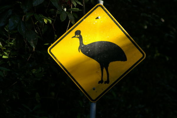 cassowary road sign at Crater Lake National Park