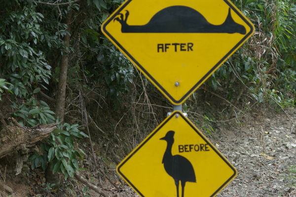 cassowary road sign in the Daintree