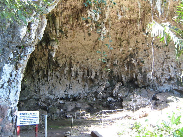 Liang Bua, the main part of the cave as seen from the outside