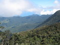 scenery on Gunung Ranaka