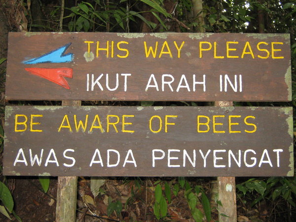 be aware of bees!!