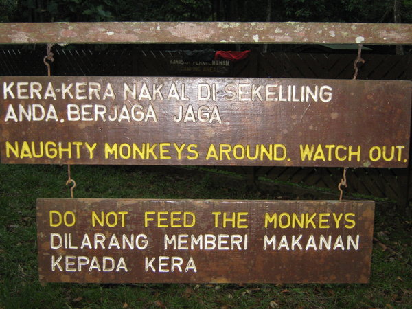 naughty monkeys!