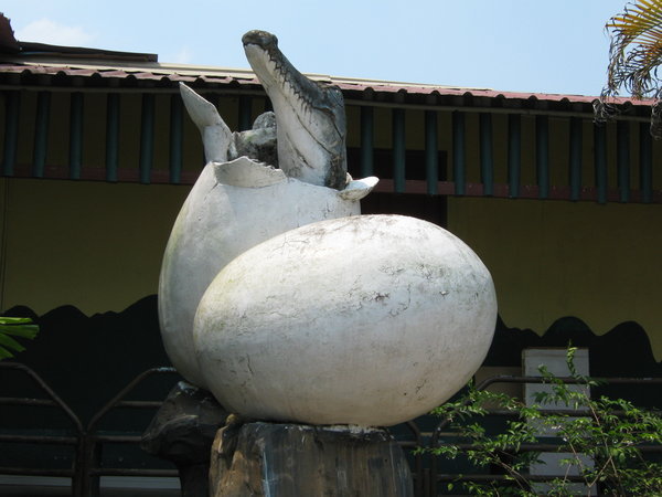 crocodile egg statue outside the zoo