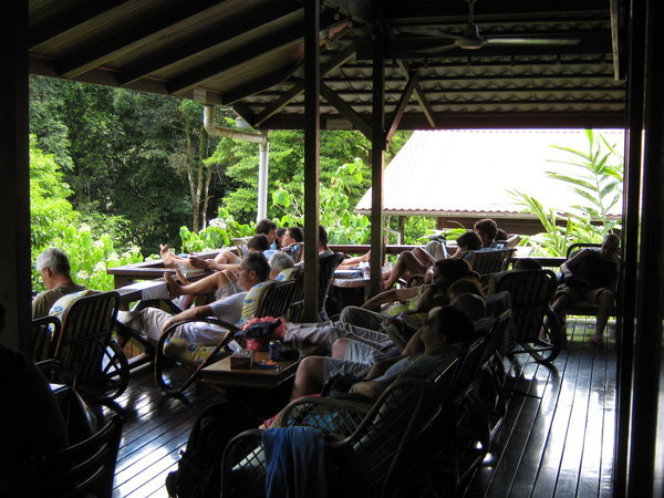 what did you do while you were at Danum Valley?