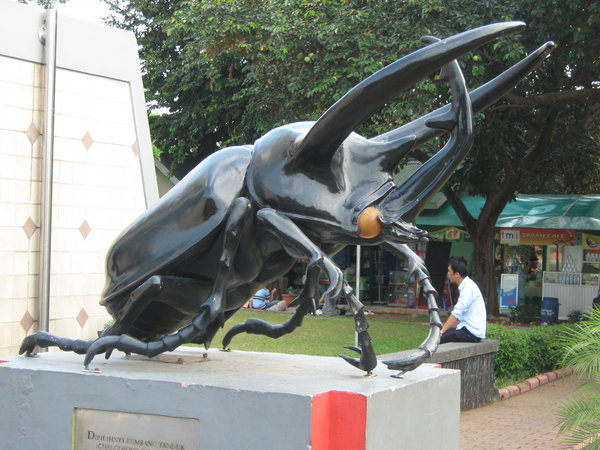 giant beetle at Taman Mini, just waiting for the right moment to attack!