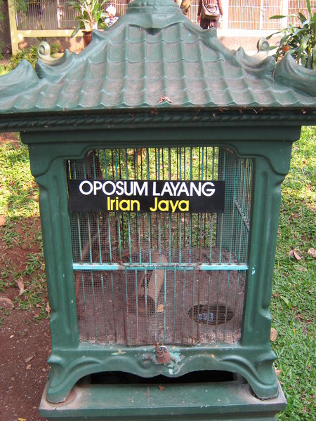 example of one of the cages at the little menagerie behind the insect museum at Taman Mini 