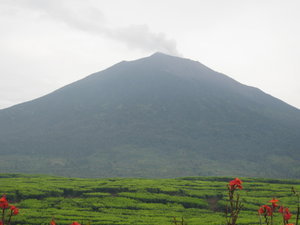 Mt. Kerinci, from Kersik Tuo