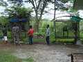 the gibbon cages....