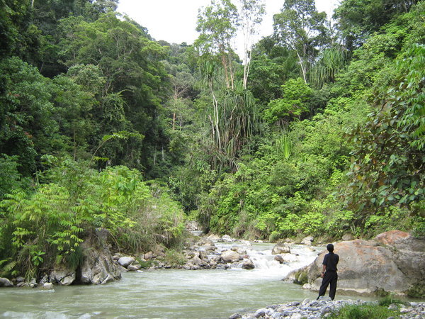 view up the Gurah River