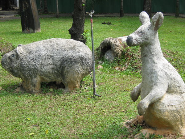 wombat and kangaroo at Dusit Zoo