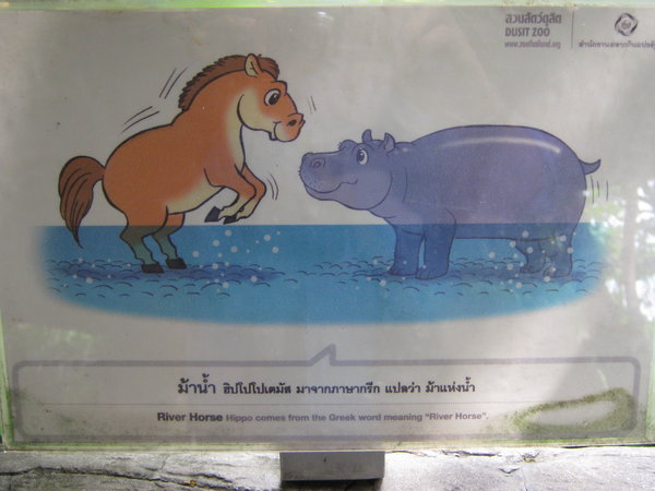 pigmy hippo sign at Dusit Zoo