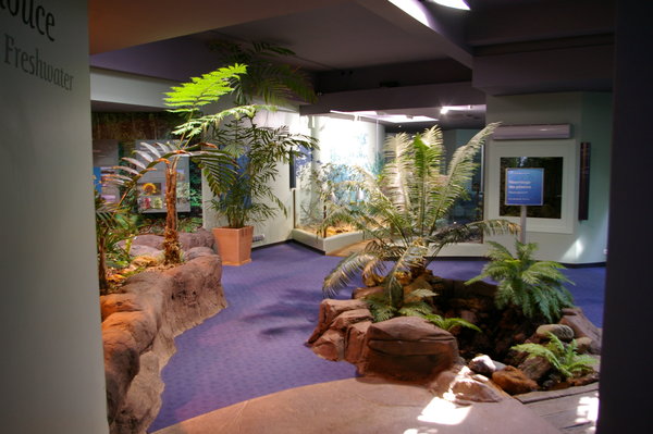 freshwater area, Noumea Aquarium
