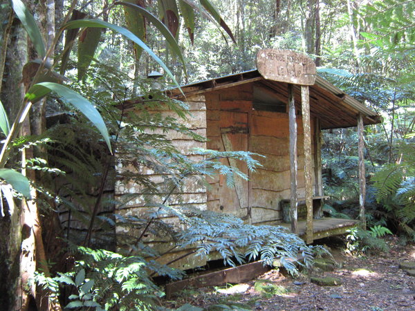 a little shack I found in the forest