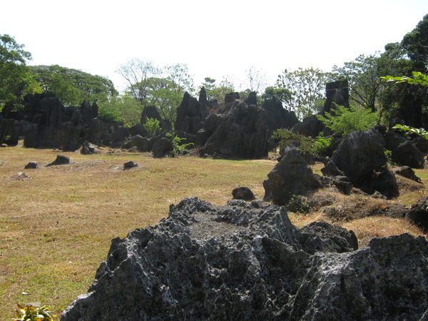 rocky landscape at the Leang-Leang Prehistoric Park