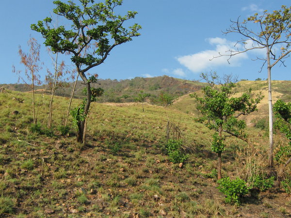 Riung landscape