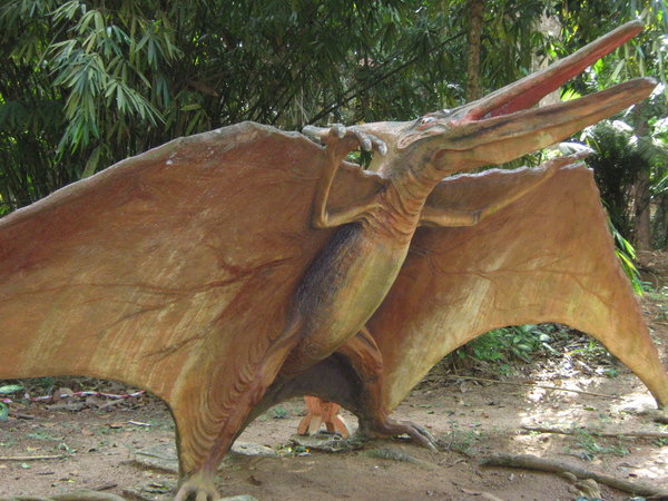 Pteranodon at the dinosaur park