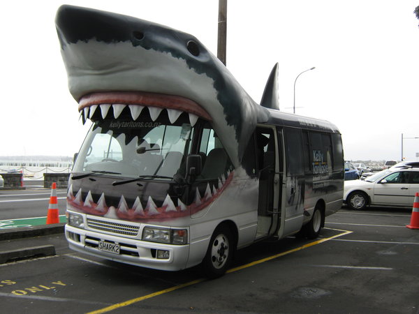 the shark bus