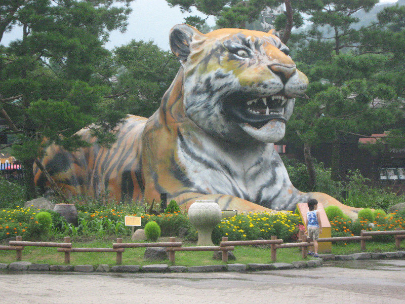the biggest tiger in the world!