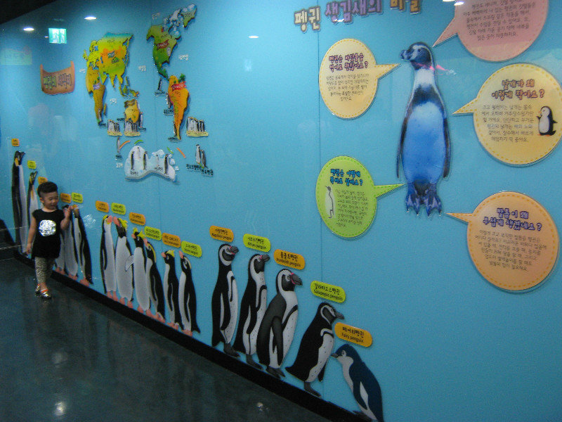 penguin line-up