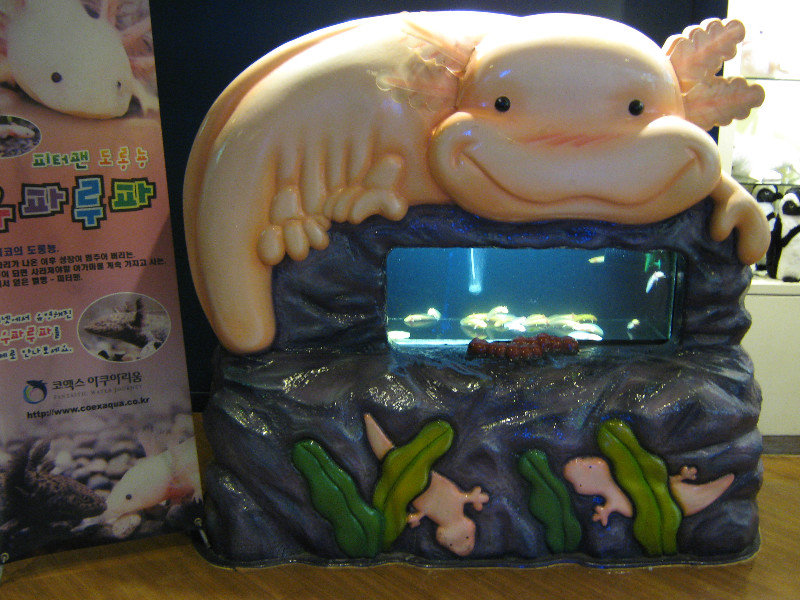 axolotl tank