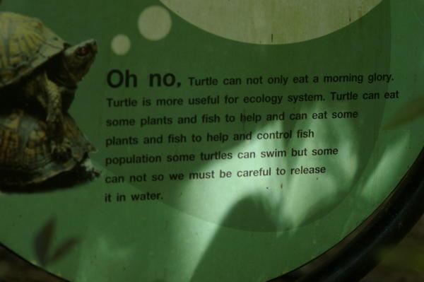 turtle sign at the Khao Kheow Open Zoo