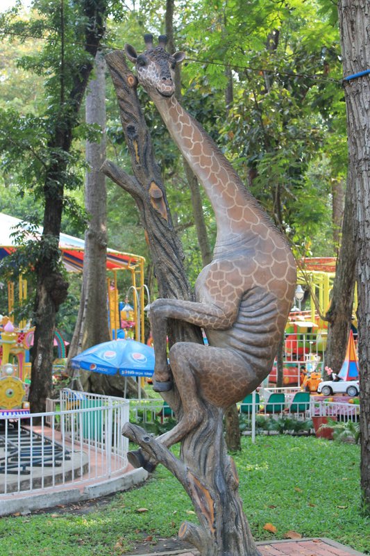 arboreal giraffe